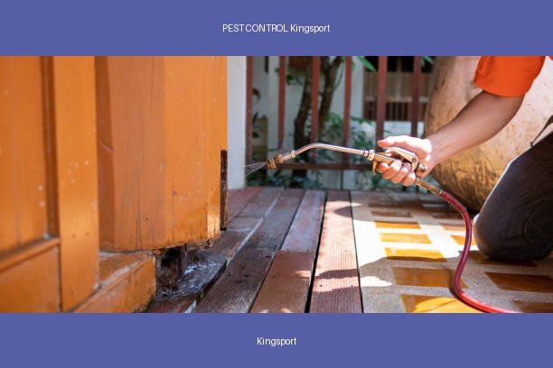 PEST CONTROL Kingsport